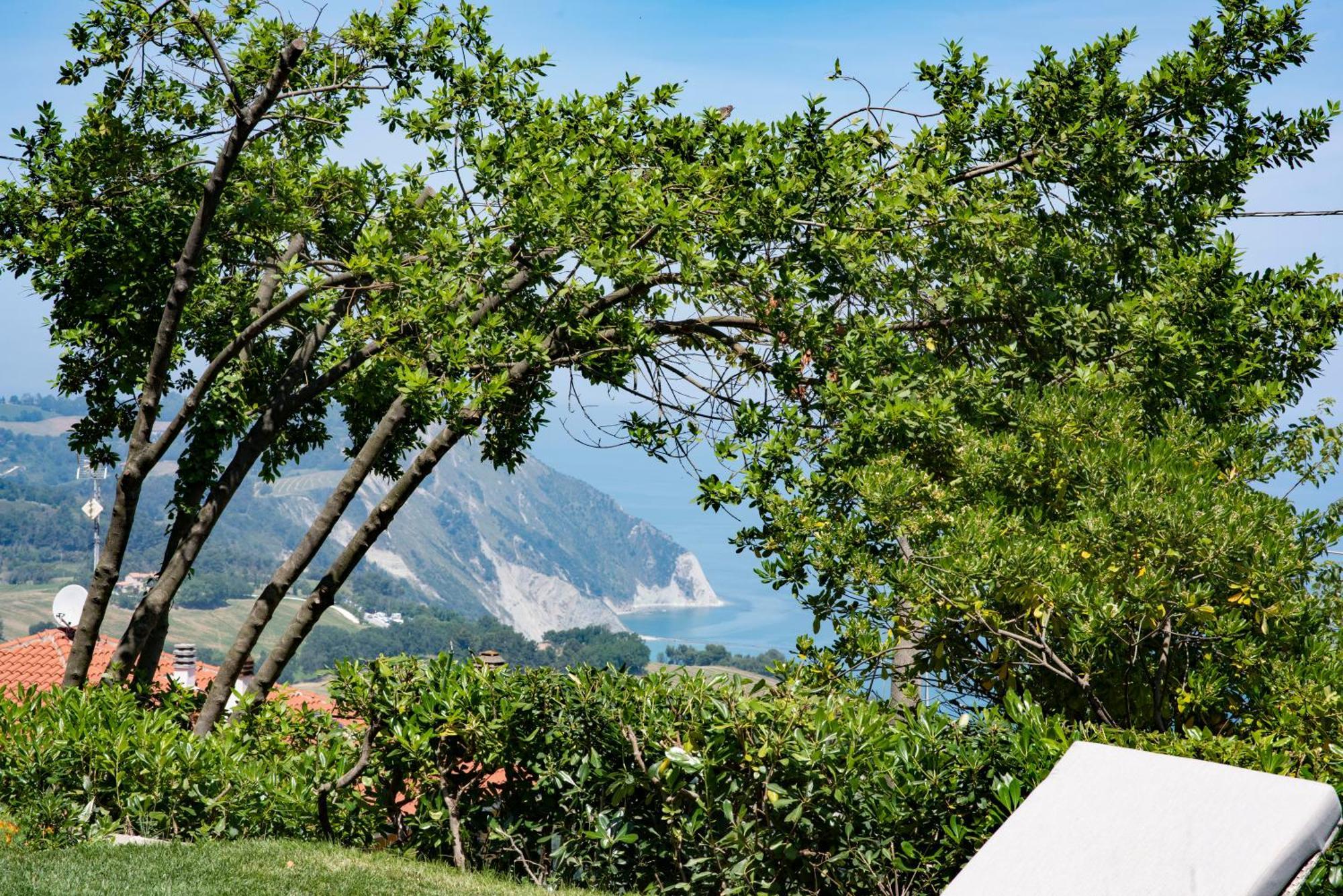 Отель Le Relais Du Lierre Poggio  Экстерьер фото